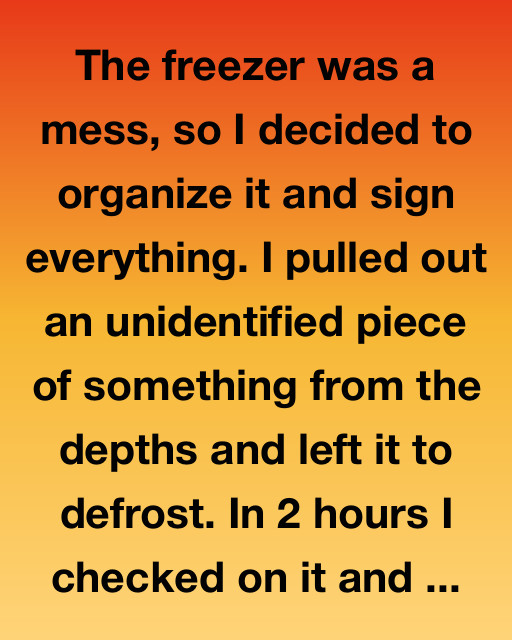 The Forgotten Roast: A Freezer Surprise That Changed Everything