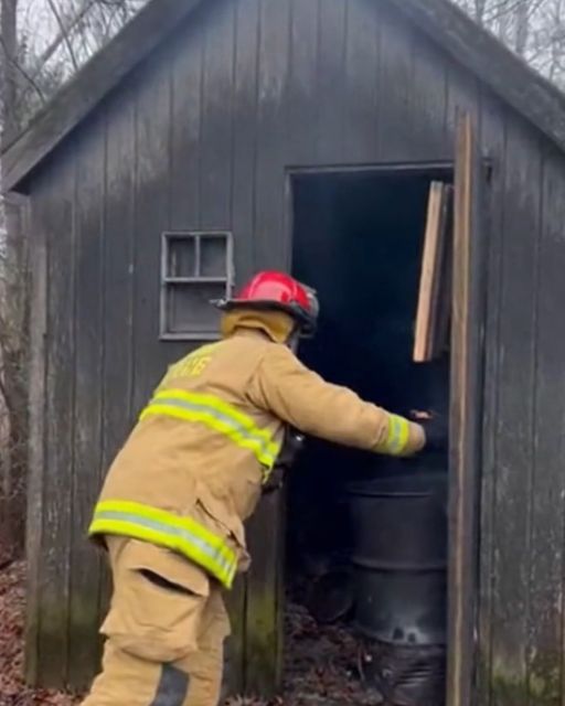 They Called Us For Smoke In A Shed—but The Real Horror Was What Was Left Behind