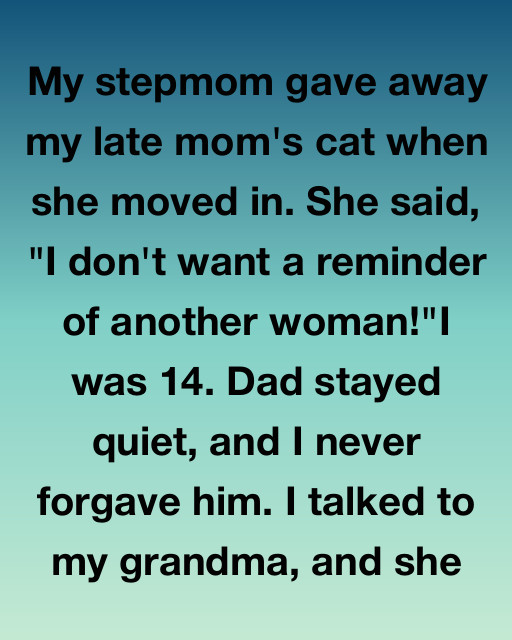 My Stepmom Gave Away My Mom’s Cat โ Until Grandma Heard Her Nasty Reason