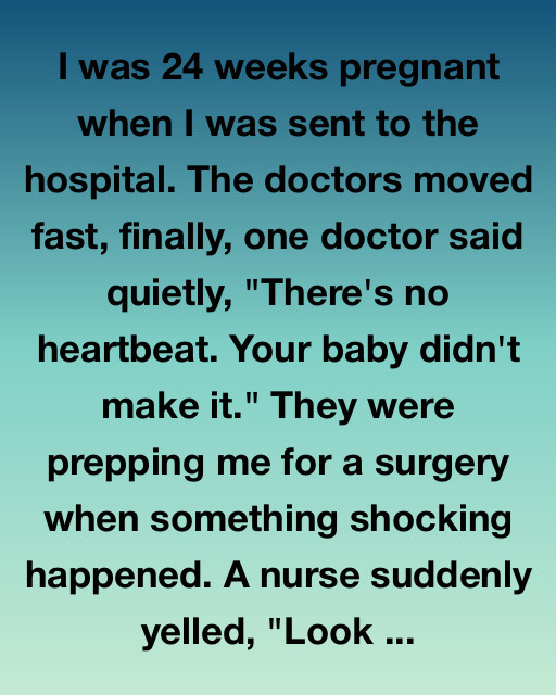 The Baby With The Quiet Heartbeat