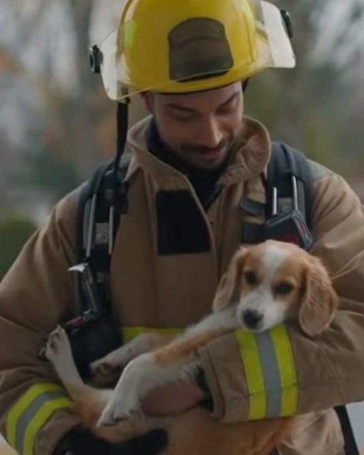 The Firefighter Who Returned My Dog—was The Fiancé Who Vanished 15 Years Ago.