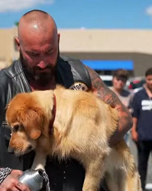 Sergeant Rex’s Last Stand