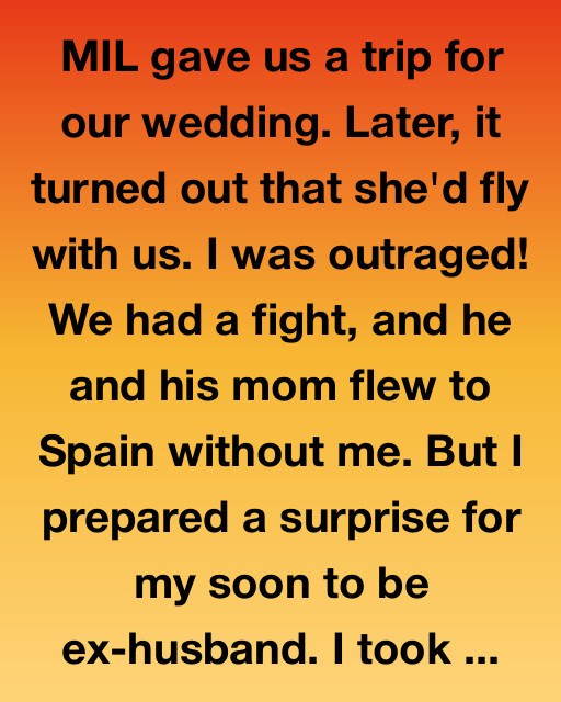 My Mother-In-Law Ruined Our Honeymoon… So I Gave Them a Gift They’ll Never Forget