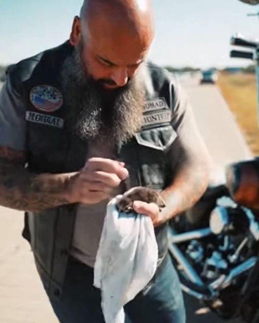 The thunderous rumble of a Harley Davidson choked the highway