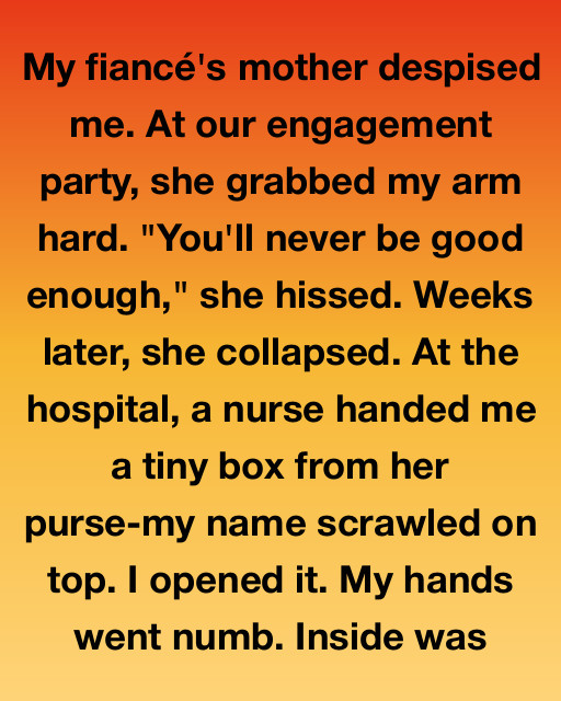 I Thought My Mother-In-Law Hated Everything About Me, But A Tiny Box Found In Her Purse Changed My Life Forever