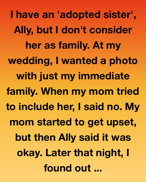 The Photo I Refused: What My ‘Adopted Sister’ Taught Me That Night