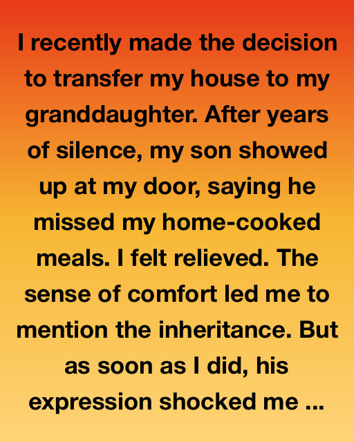 The House I Gave Away