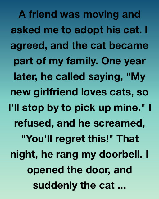 The Cat Who Chose His Home