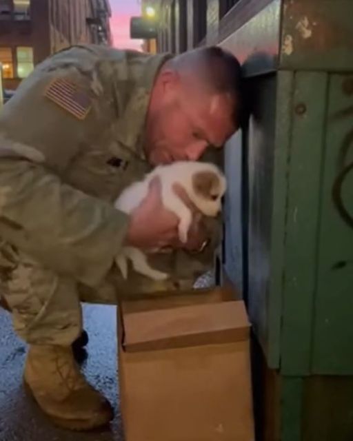 I Found A Puppy In A Dumpster. The Vet Just Told Me Whose Blood Is On Its Fur.