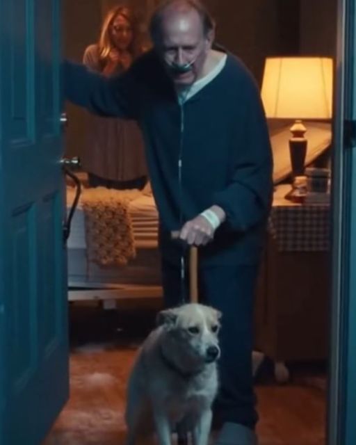 The Dog Who Found A Reason