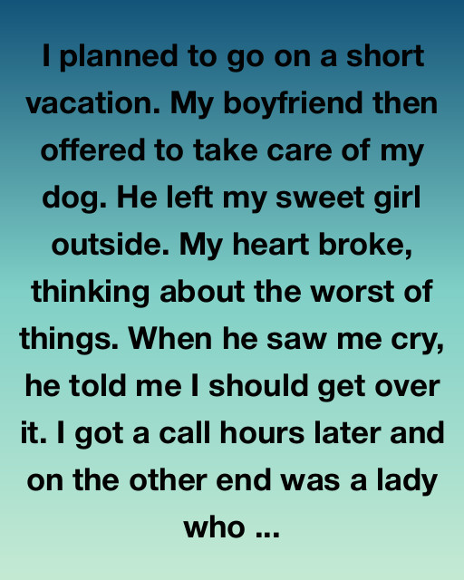 The Dog He Left, The Love I Found