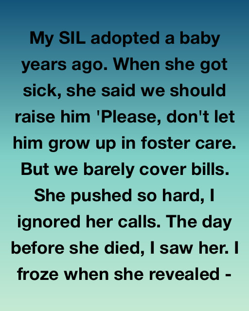 I Saw My Sister-In-Law’s Final Secret And Realized Why She Was So Desperate For Me To Take Her Son