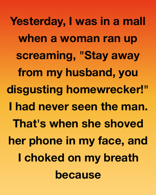 I Was Minding My Own Business At The Mall When A Stranger Accused Me Of Destroying Her Marriage