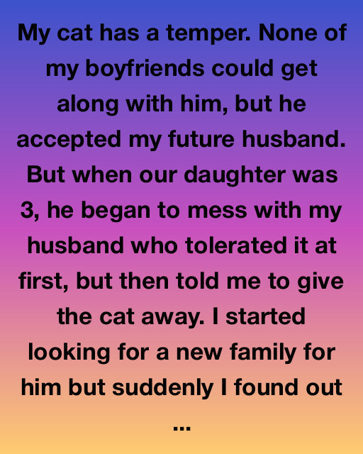 My Cat Knew Before I Did