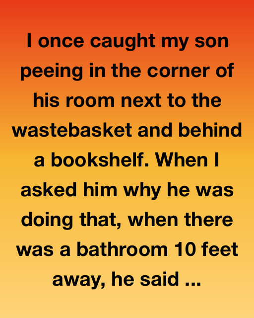 The Corner Behind the Bookshelf