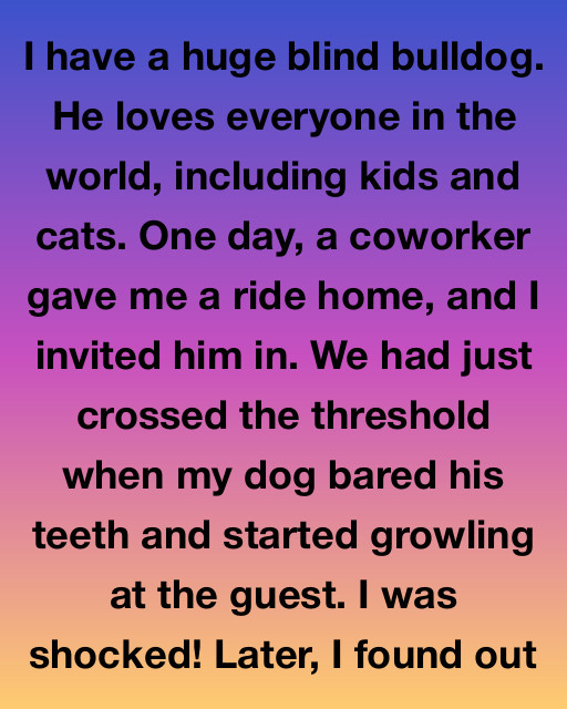 I Have A Huge Blind Bulldog Who Loves Everyone, But When He Growled At My New Coworker, I Realized He Could See Something I Couldn’t