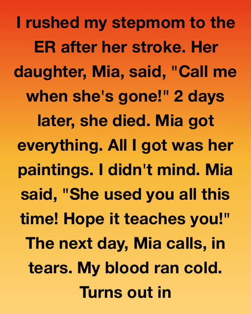 I Rushed My Stepmom To The ER And Took Care Of Her โ But Her Biological Daughter Took Everything
