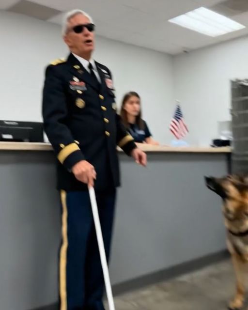 They Were Going To Kill My Dog For Being Too Aggressive. Now I Know Who She Was Aggressive To.