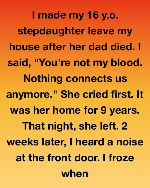 I Kicked Out My Dead Husband’s Daughter. Two Weeks Later, The Man In The Blue Uniform Called Her Name.