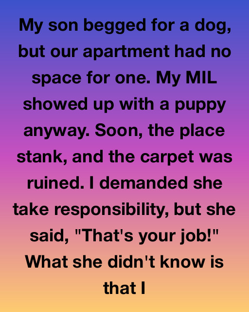 I Thought My MIL Was Just Being Difficult With A Surprise Puppy, But It Forced Me To Reveal A Secret I’d Been Keeping To Protect Our Family