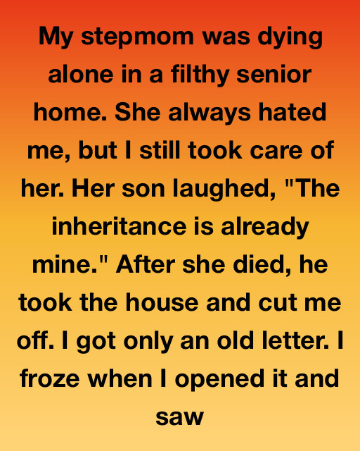 I Still Chose Kindness Even When My Family Chose Greed, But A Final Secret From The Past Changed My Life Forever