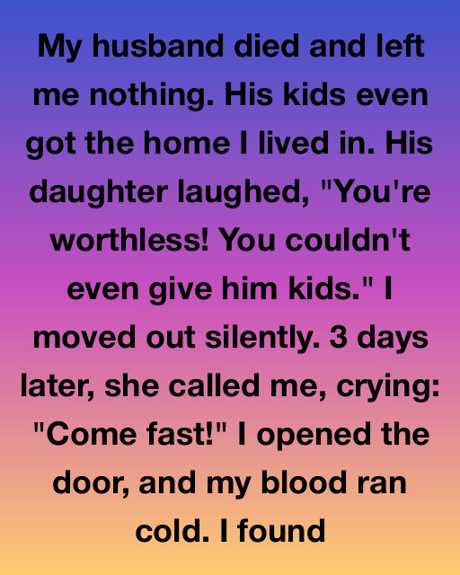 My Husband Left Me Nothing, But A Midnight Call From His Daughter Revealed A Secret He’d Been Hiding Behind The Walls Of Our Home