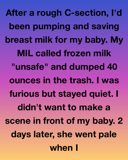 I Saw My MIL Dump My Hard-Earned Breast Milk โ I Taught Her A Lesson She Will Never Forget