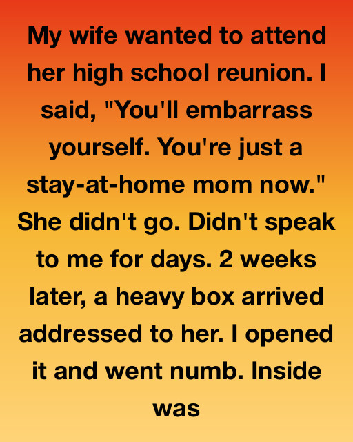 I Thought My Wife Was Just A Stay-At-Home Mom, But Opening A Mystery Box Taught Me The Most Humbling Lesson Of My Life