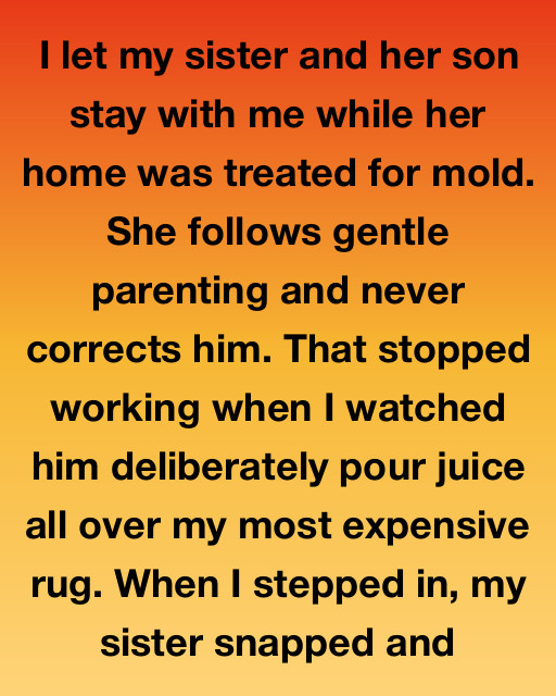 I Let My Sister Stay While Her House Was Being Fixed, But The Mess Her Son Made Revealed A Family Secret I Never Expected