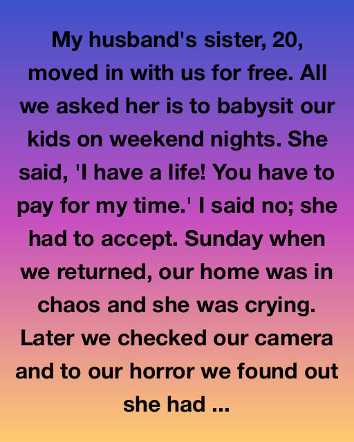 My Husbandโs Sister Refused To Babysit For FreeโWhat We Found On The Camera Changed Everything