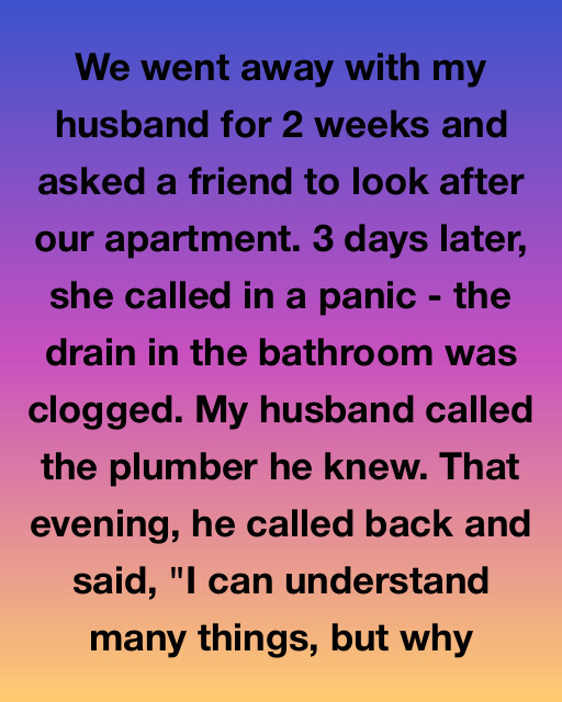 I Trusted My Friend With My Apartment Keys But The Plumber’s Late Night Call Revealed A Secret That I Never Saw Coming