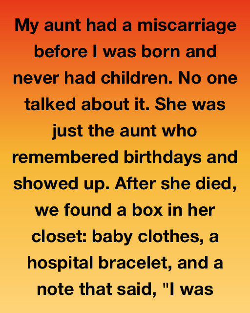 I Saw The Truth Behind My Aunt’s Quiet Life And Realized She Was Protecting A Secret That Changed My Own History
