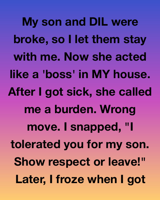 My Son And DIL Were Broke, So I Let Them Stay With Me, But A Hidden Secret In Her Bag Started A Colossal Conflict