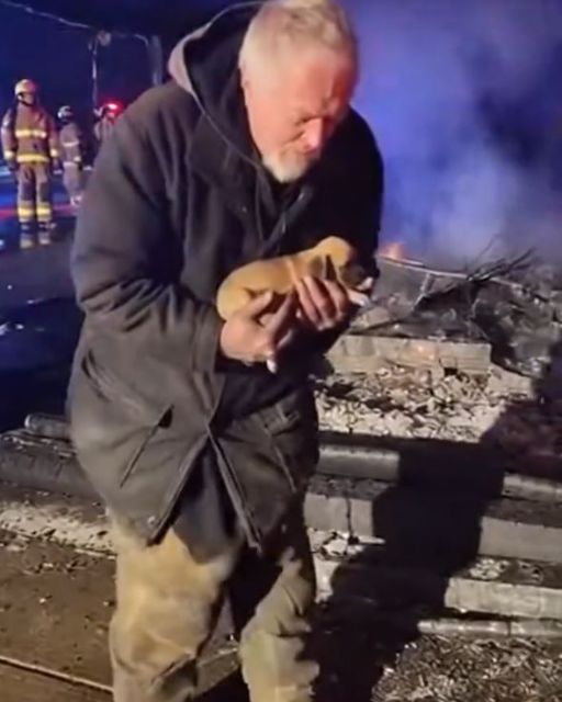 Everyone Clapped For The Old Man Who Saved The Puppies. But My Wife Started Screaming.