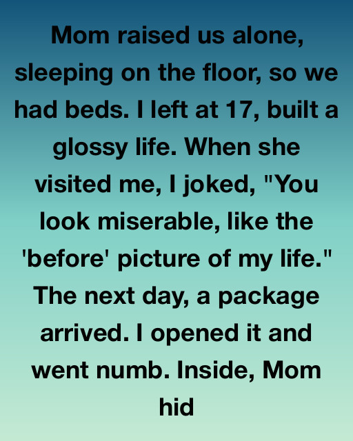 I Built A Glossy Life And Mocked My Mother’s Poverty, But A Final Package Revealed The Heartbreaking Secret Behind My Success