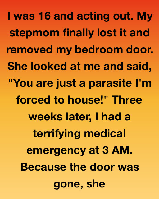 My Stepmom Removed My Door