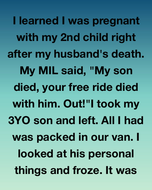 I Learned I Was Pregnant Right After My Husband Passed, And My Mother-In-Law Threw Me Out Into The Cold Only For A Hidden Secret To Change My Life Forever