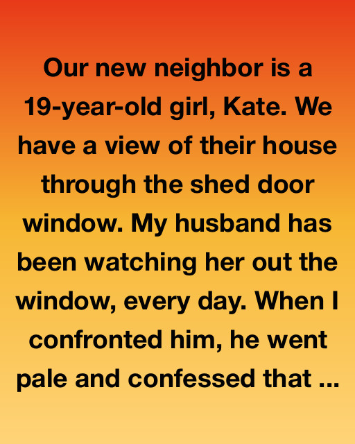 Through The Shed Door Window