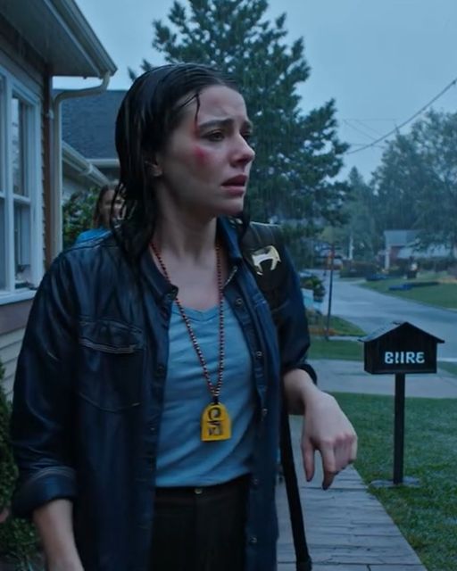 The House On Willow Lane