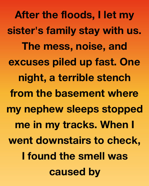 I Let My Sister’s Family Move In After The Floods And Discovered That The Stench In My Basement Was Hiding A Secret I Never Expected