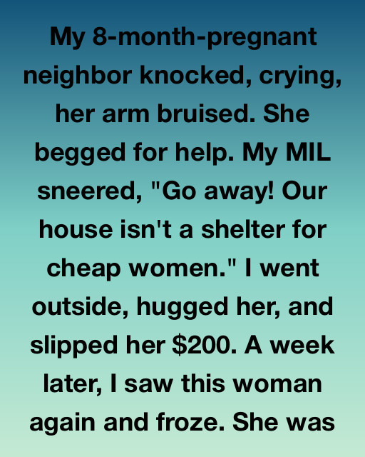 I Saw My Pregnant Neighbor In Pain And Ignored My Mother-In-Law’s Cruelty To Help Her, Only To Discover The Massive Secret She Was Keeping From Our Entire Street