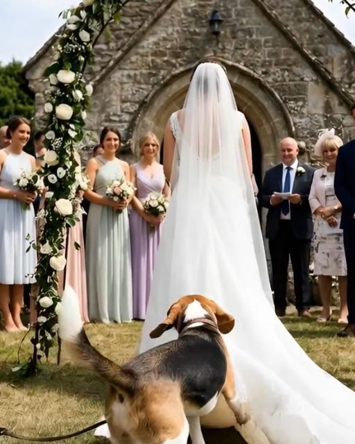 I Wore My Grandmother’s Dress To The Wedding. The Dog Wouldn’t Let Me Walk.
