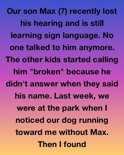 I Saw My Son Being Labeled As Broken By The World, But A Golden Retriever And A Secret Meeting At The Park Proved That True Connection Doesn’t Need A Voice