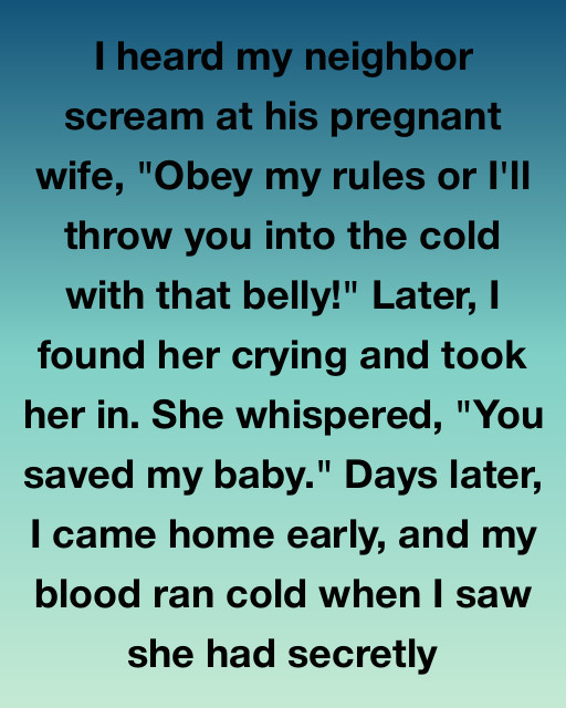 I Saved My Neighbor And Her Unborn Child Only To Discover The Real Reason She Was Hiding In My Spare Bedroom