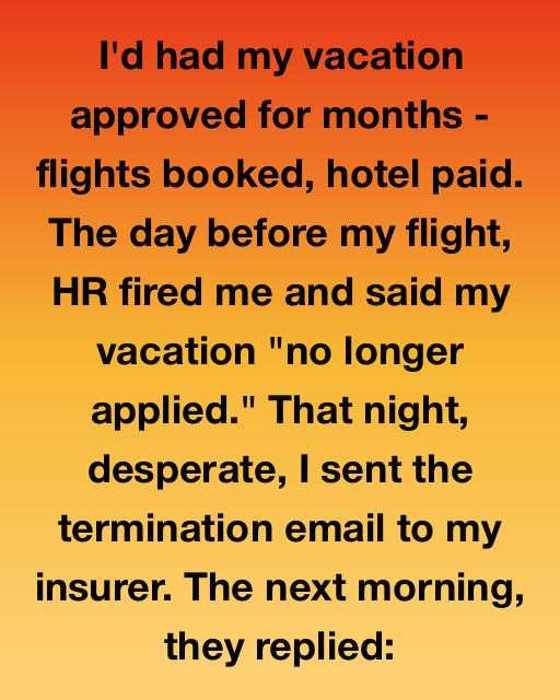 I Thought Being Fired The Day Before My Dream Trip Was My Downfall, But An Insurance Email Revealed The Company’s Secret Desperation