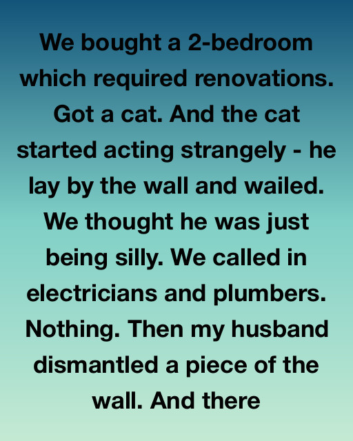 I Bought A Fixer-Upper With A Strange Secret Hidden Behind The Walls And My Cat Was The Only One Who Knew The Truth