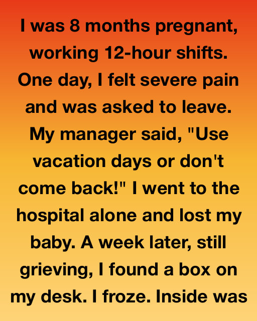 I Was Forced To Choose Between My Job And My Unborn Child, But The Truth I Found In A Box On My Desk Changed My Life Forever