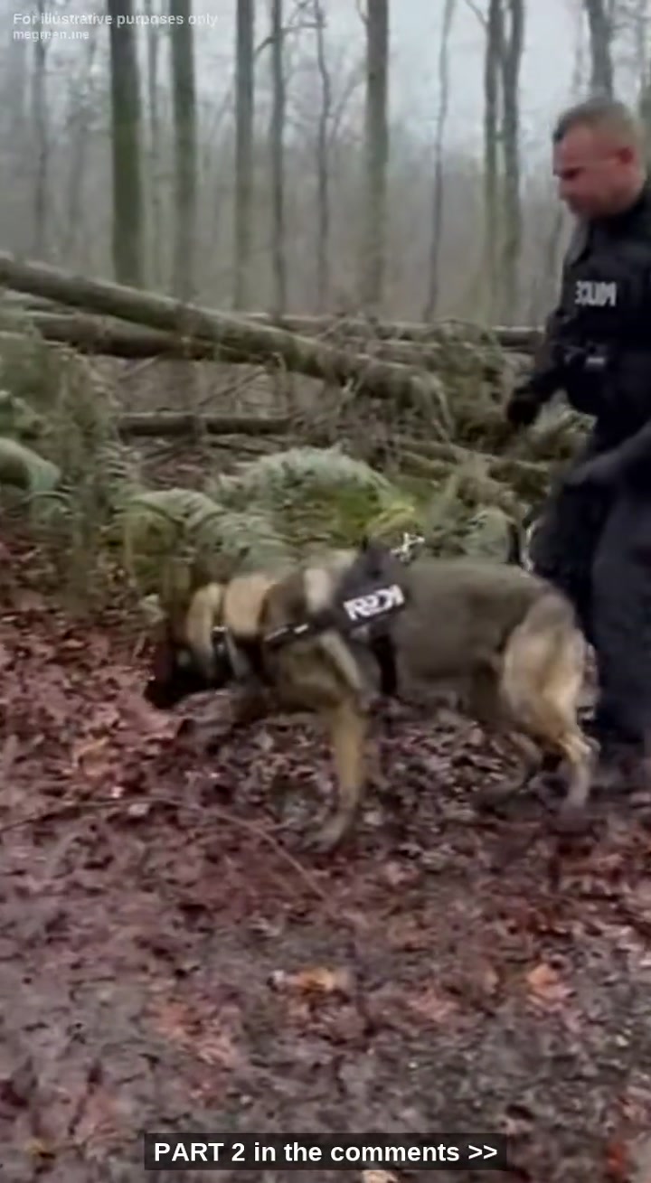 I Thought I Had Seen The Absolute Worst Of Humanity During My Ten Years On The Force, But Nothing Prepared Me For The Moment My K9 Partner Froze In Front Of A Garbage Bag In The Freezing Rain