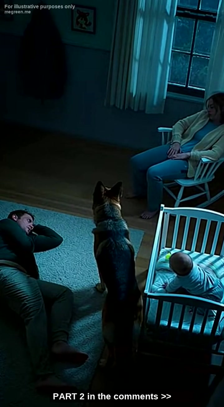 They Told Me To Keep My Aggressive K9 Away From My Dying Son