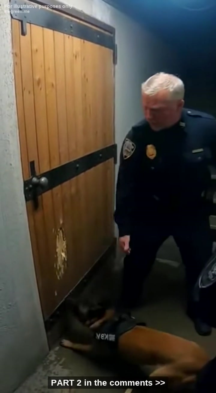 My Sergeant Screamed At Me To Walk Away